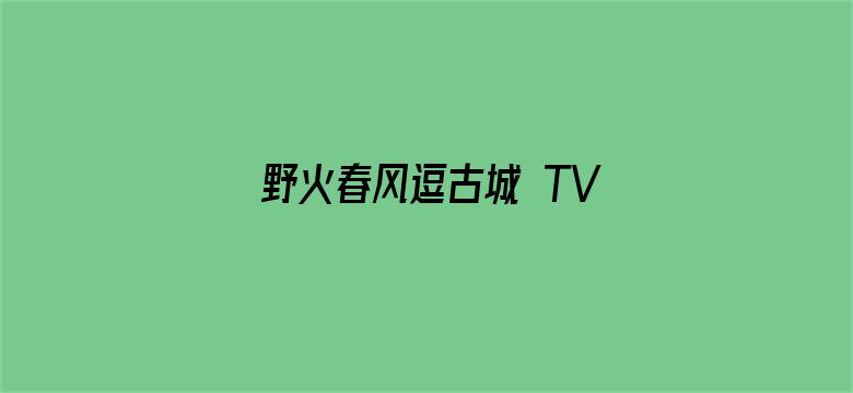 野火春风逗古城 TV版